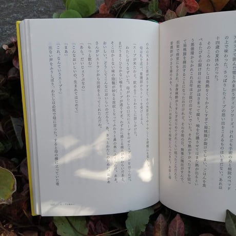 漢詩の手帖　いつかたこぶねになる日