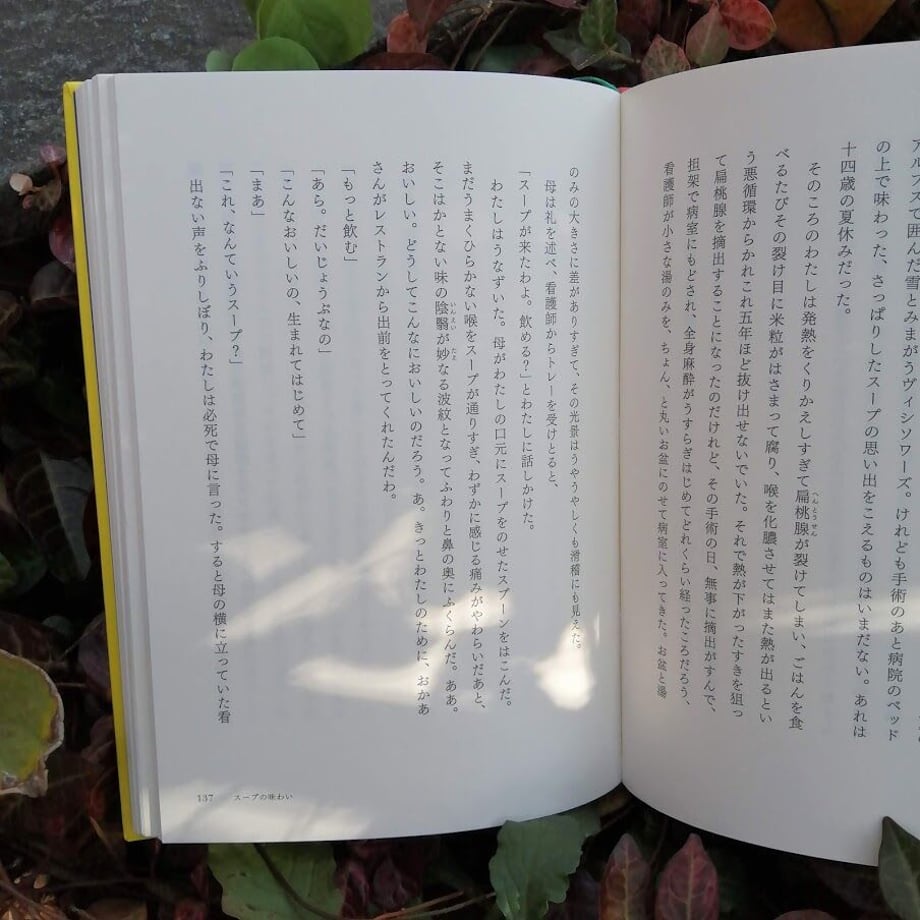 5fa7339e8a457203c5292060