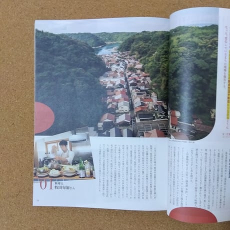 中国山地004