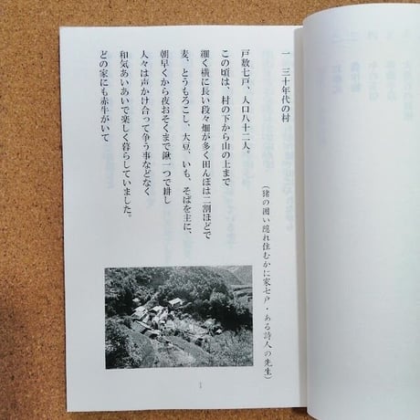 限界を超えた村 増補版