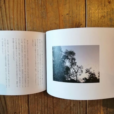 日常採集　記憶をめぐる物語