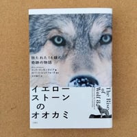 イエローストーンのオオカミ