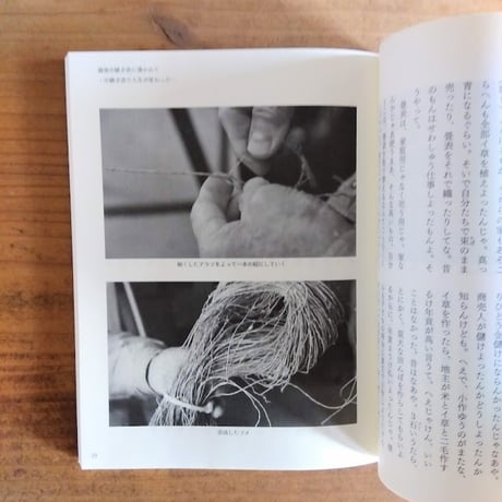 粒粒 1