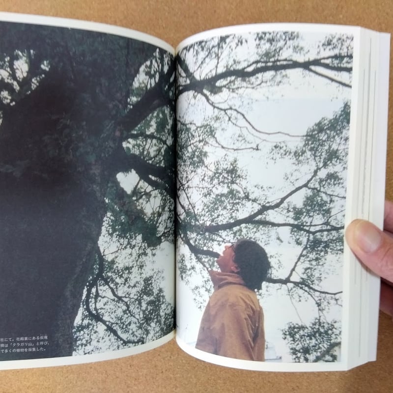 新版 縄文聖地巡礼 | 本屋UNLEARN