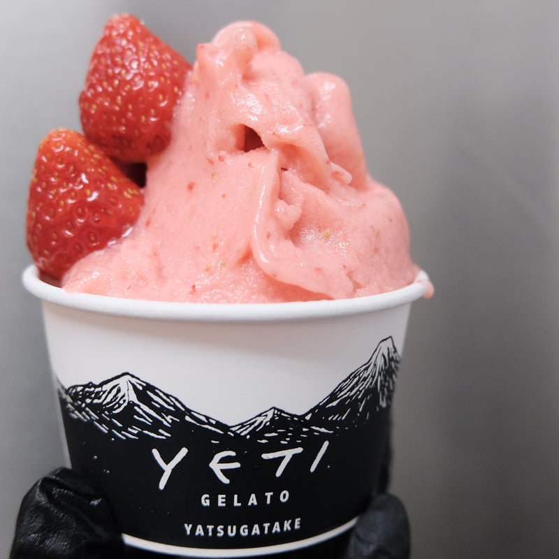 八ヶ岳をお届け』素材本来の味にこだわった《 YETI GELATO⑩CUP