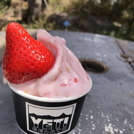 『⑩YETI GELATO  christmas   』