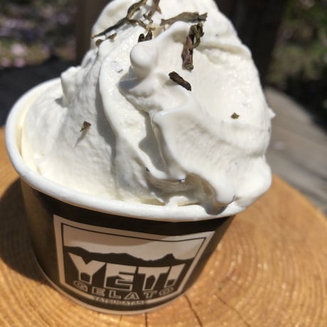 『⑥YETI GELATOchristmas』