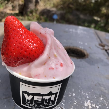 『⑥YETI GELATOchristmas』