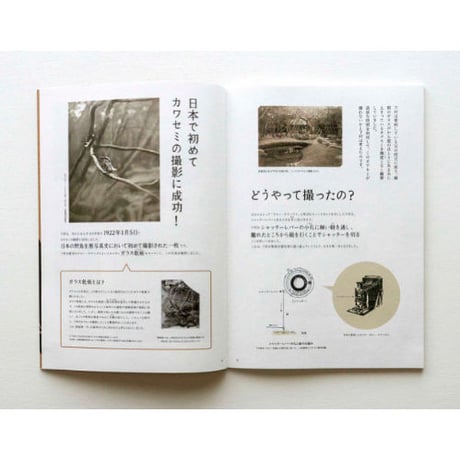 『100年前にカワセミを撮った男・下村兼史の本』