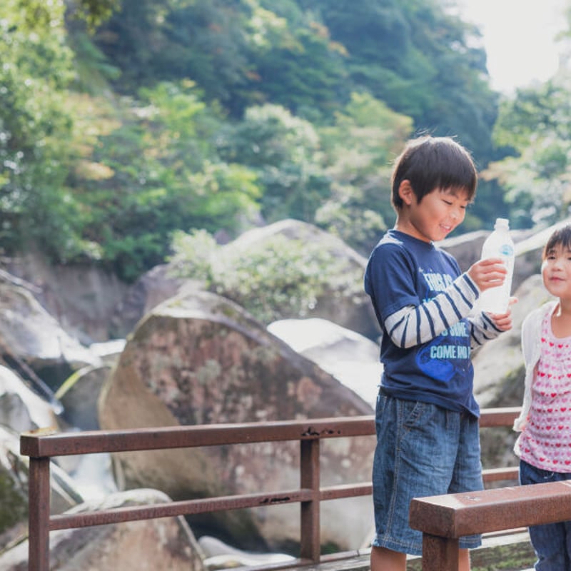 奥出雲の涼水】（島根県仁多郡奥出雲町）ミネラルウォーター2L（12本入