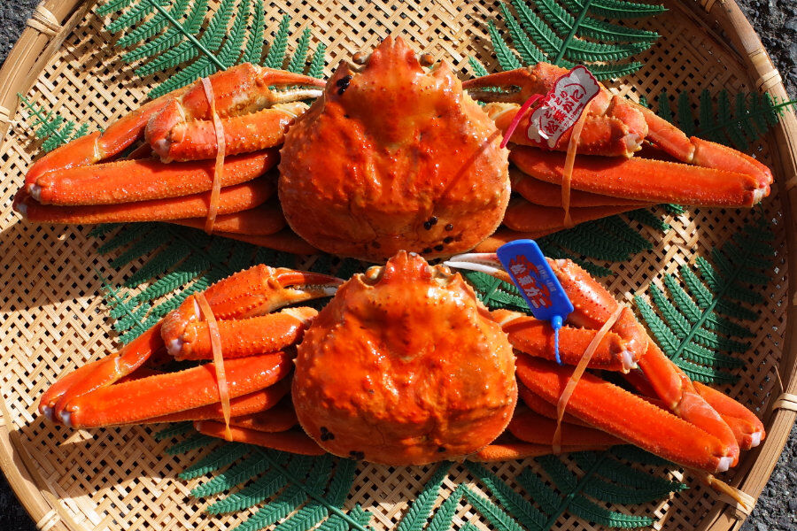 仲屋食品】(鳥取県境港市)の松葉ガニ(700g以上800g未満 仲屋食品】(鳥取県境港市)の松葉ガニ(700g以上800g未満