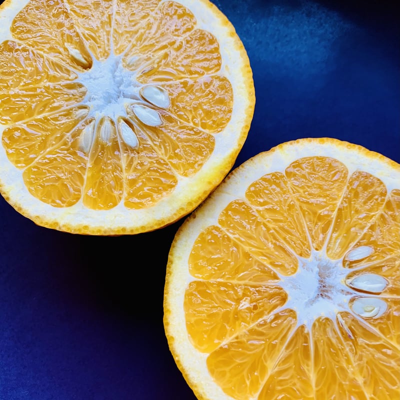 サンフルーツ 15kg(箱込み) | Tony Farm209