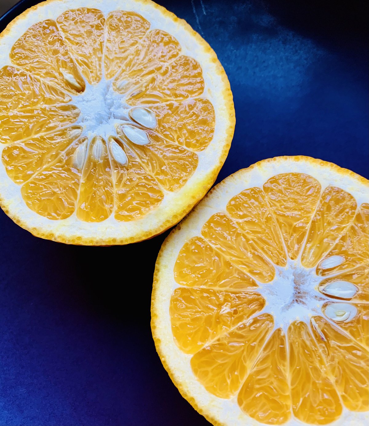 サンフルーツ 15kg(箱込み) | Tony Farm209