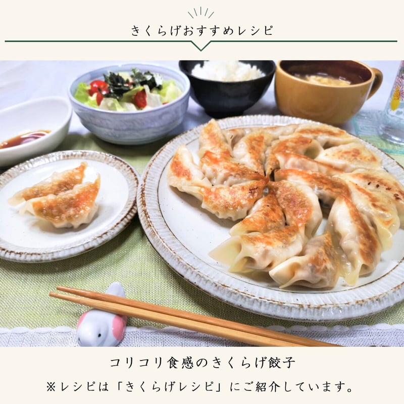 きざみ乾燥きくらげ100g | 杜のきくらげ online store