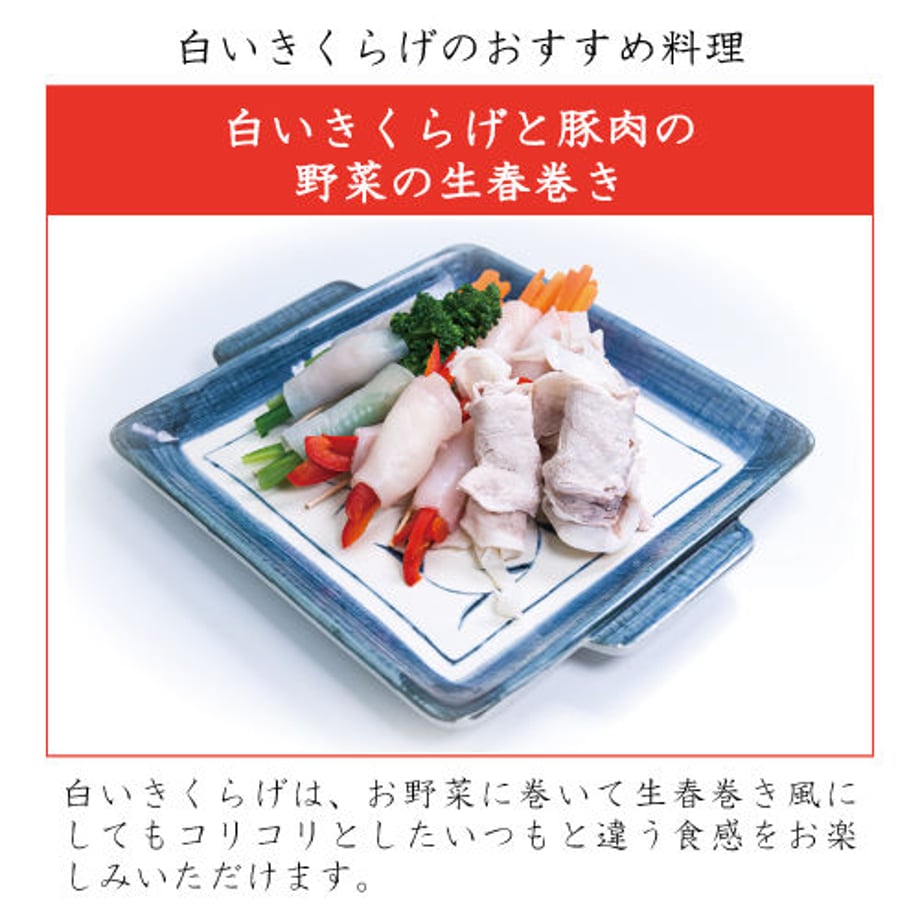 5ec2305a5157623a03556e1e
