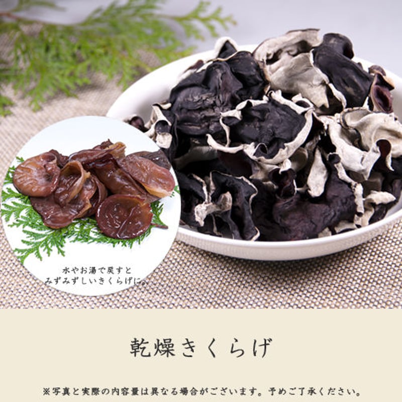 杜の便りセット | 杜のきくらげ online store
