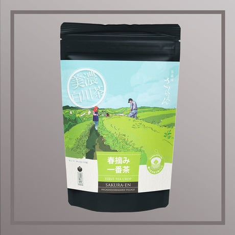 春摘み一番茶 3g×8ヶ/ティーバッグ