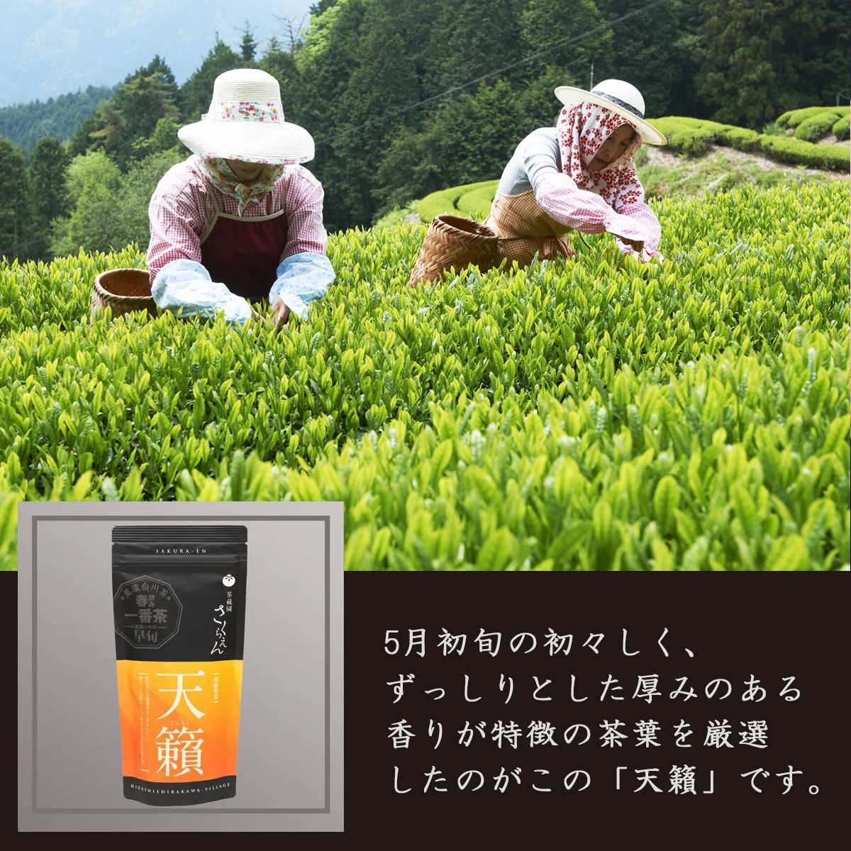 値下げ・高取茶碗 下面取茶碗 髙取春慶造 – 高取焼宗家