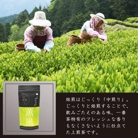CATEGORY 美濃白川茶「茶蔵園」 | 杜のきくらげ online store CATEGORY 美濃白川茶「茶蔵園」 | 杜のきくらげ online store