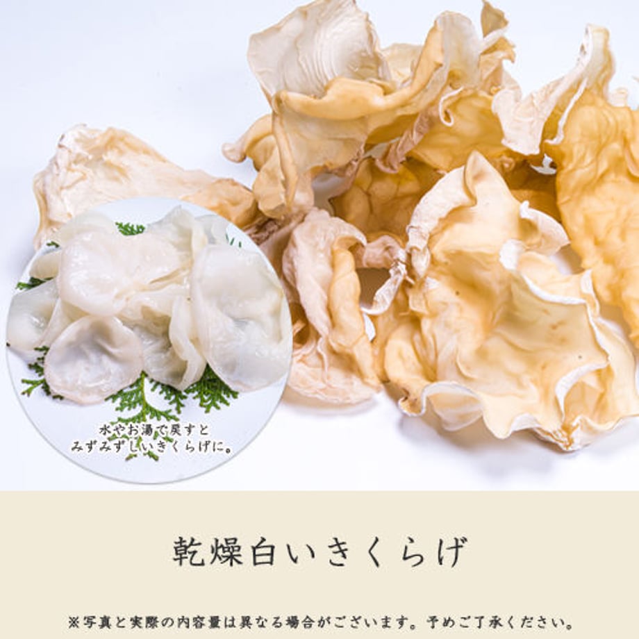 5ec2351072b91156a709841d