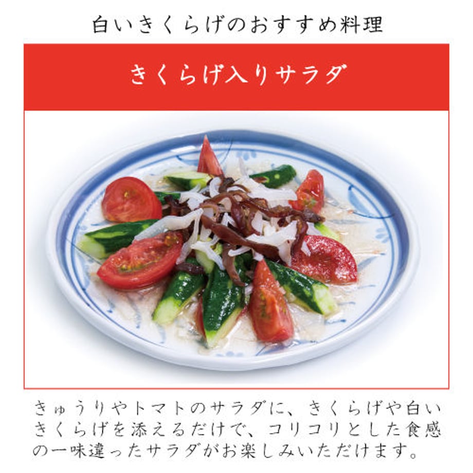 5ec2305a5157623a03556e1e