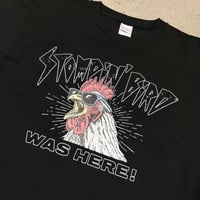 DVD) STOMPIN' BIRD 30th ONEMANLIVE | Flower An
