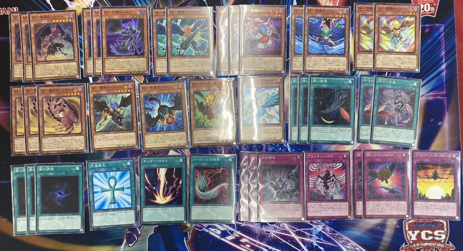 すぐ遊べる！遊戯王構築済みデッキ】ブラックフェザー・ドラゴン