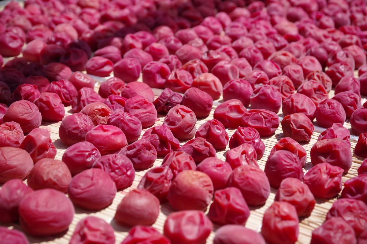 十郎梅の赤梅干 瓶入り | むめや