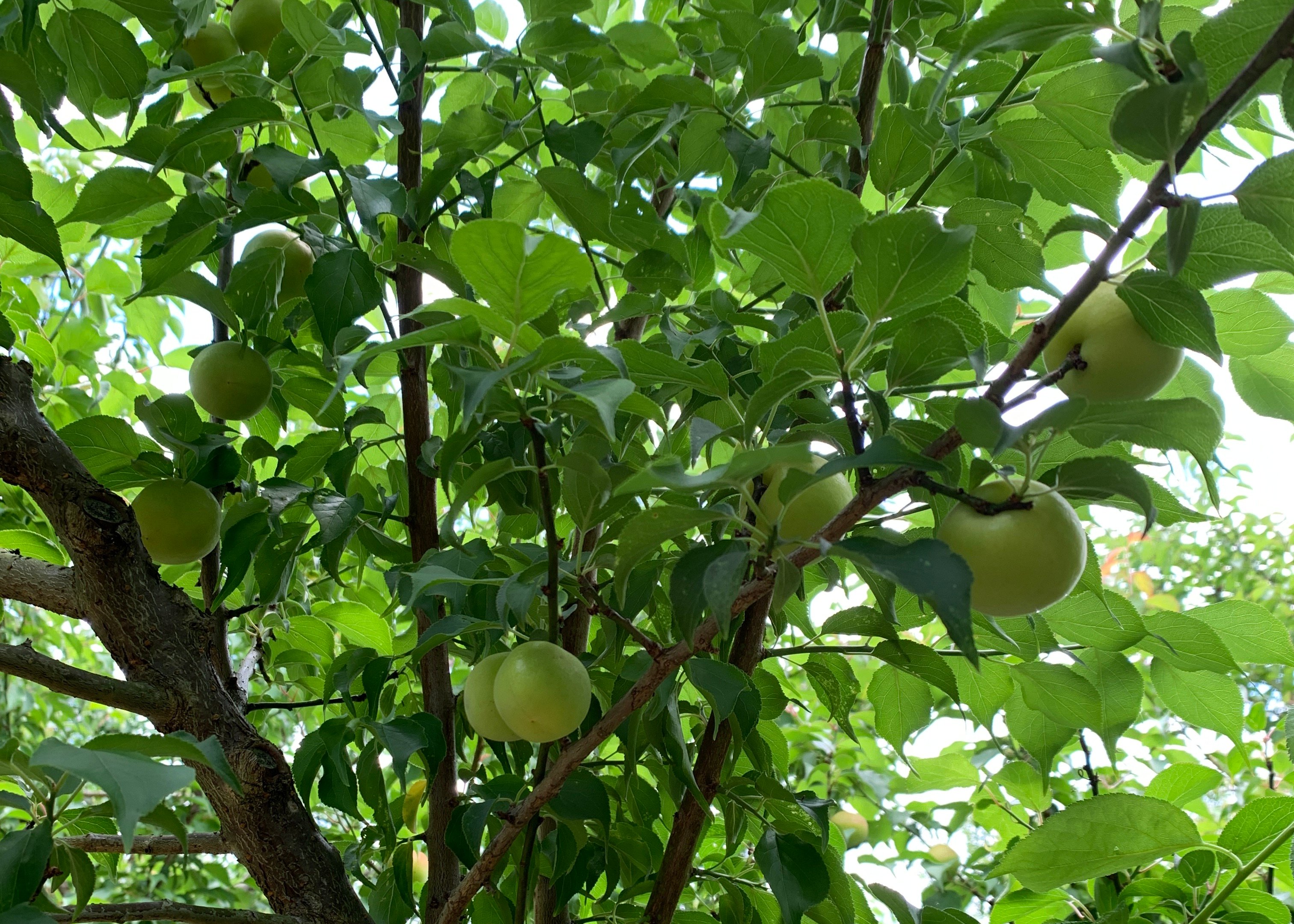 工房移転準備について