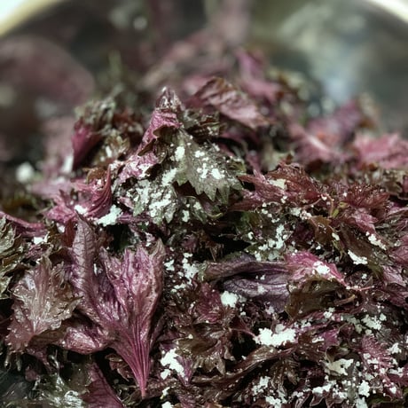 杉田梅の赤梅干　180g