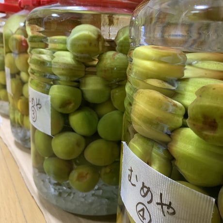梅の甘露煮