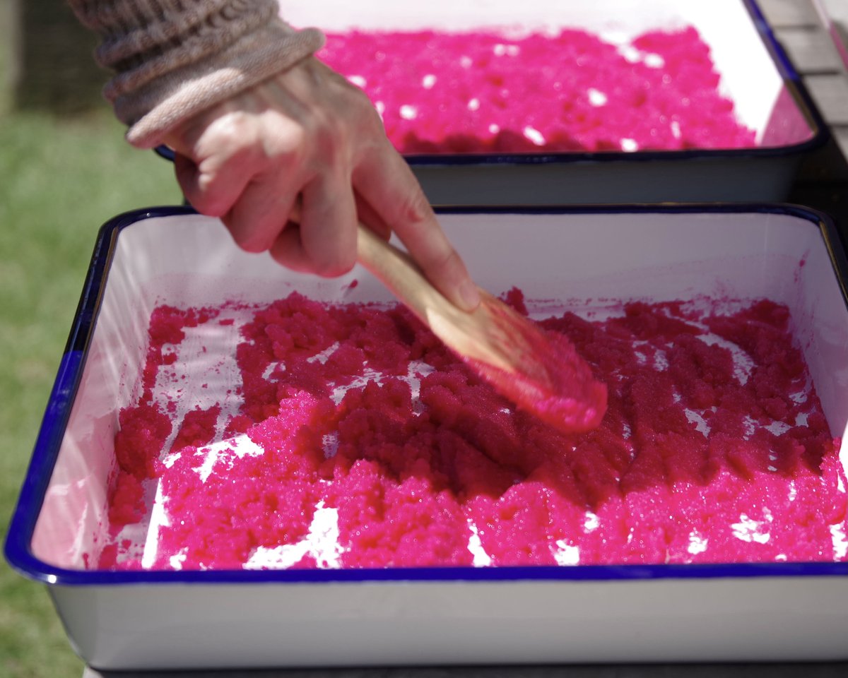 冷やし梅様　お取置き9月1日 梅しお | むめや