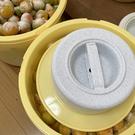 杉田梅の白梅干　180g