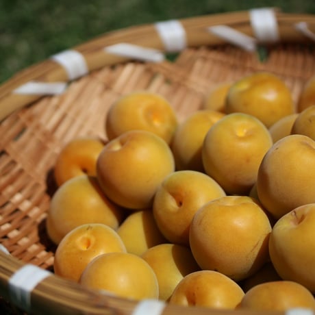 杉田梅の白梅干　180g