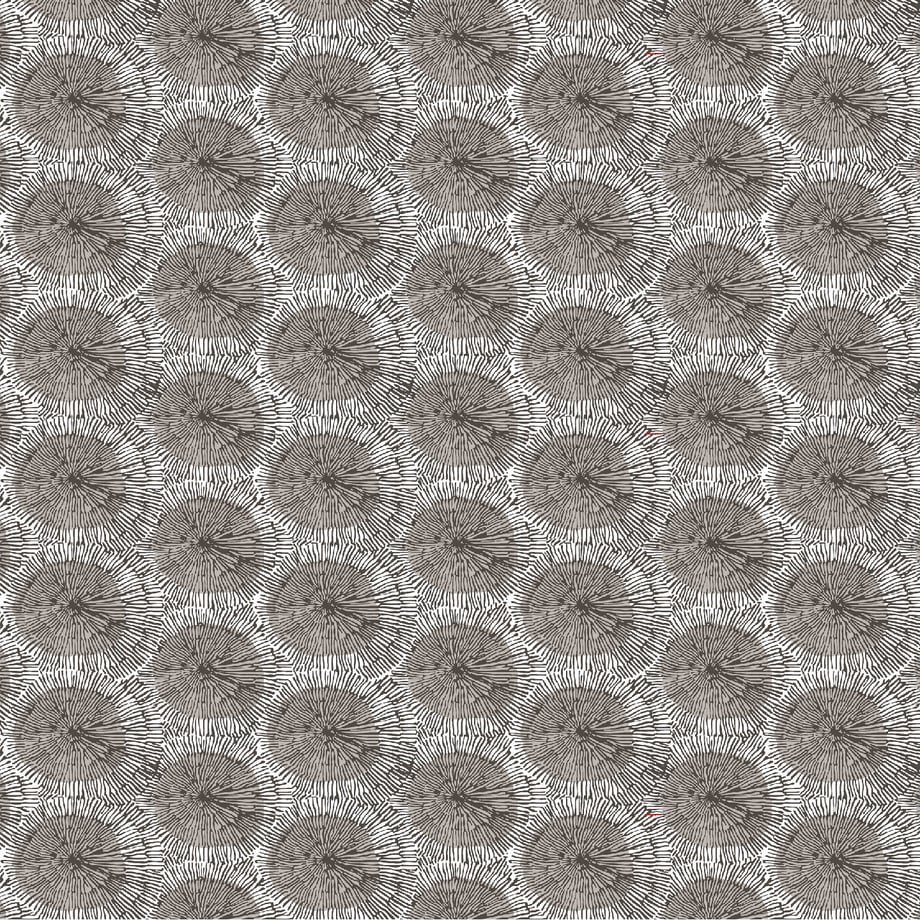 5ea0fc8934ef01080e07c8b8