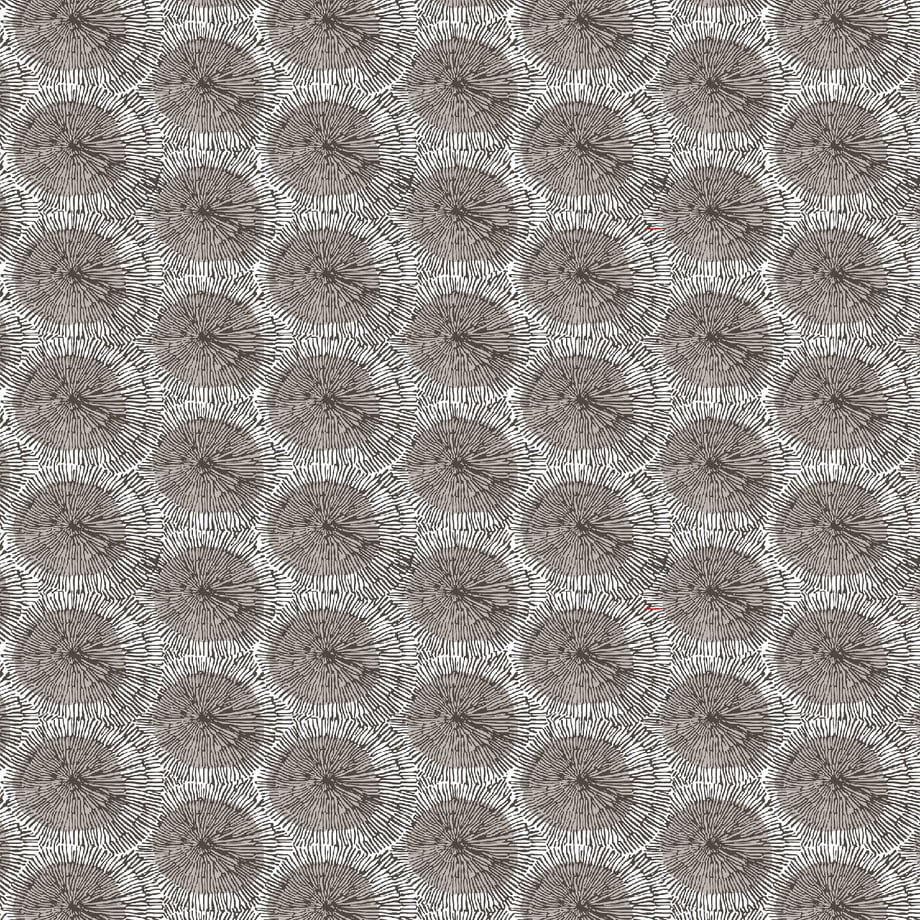 6197313d7e588f17ac4d9192