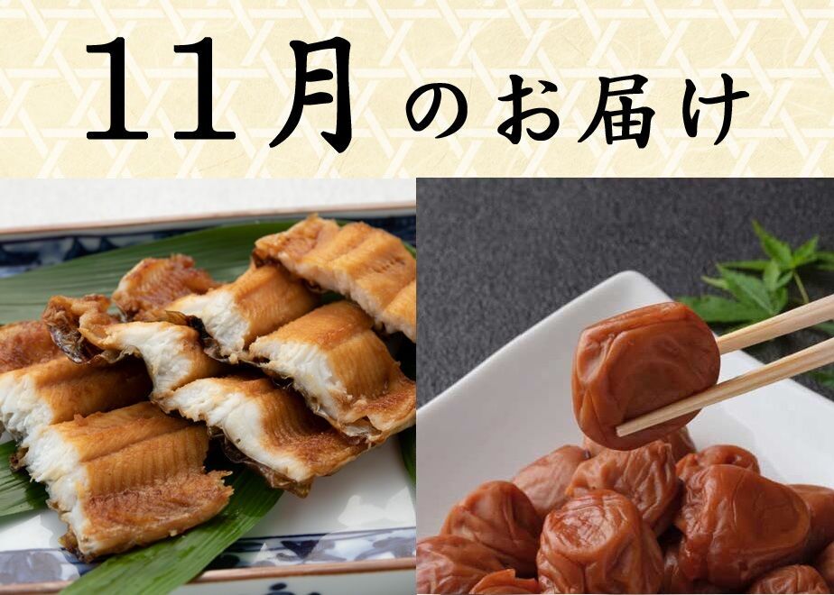 5f55e74f9d284220a81ef53b