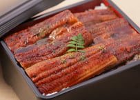うなぎ蒲焼セット