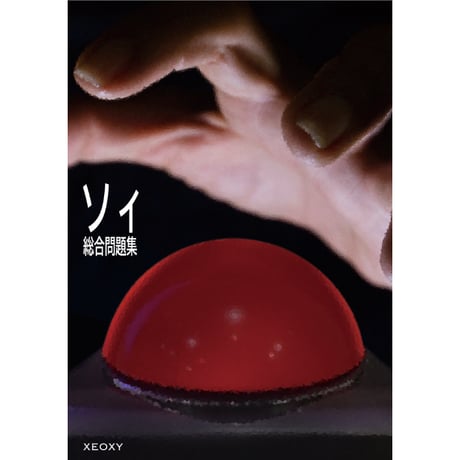 ソィ総合問題集