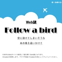 Follow a bird