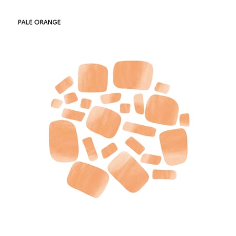 Irodori Palette [PALE ORANGE]