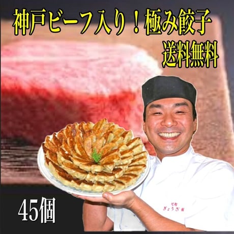 神戸ビーフ入り！極み餃子(４５個ニンニクなし味噌ダレ付）送料無料！当店自慢の名物餃子です