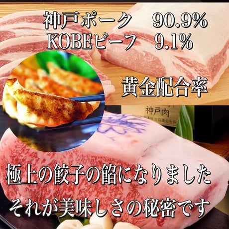 神戸ビーフ入り！極み餃子(４５個ニンニクなし味噌ダレ付）送料無料！当店自慢の名物餃子です