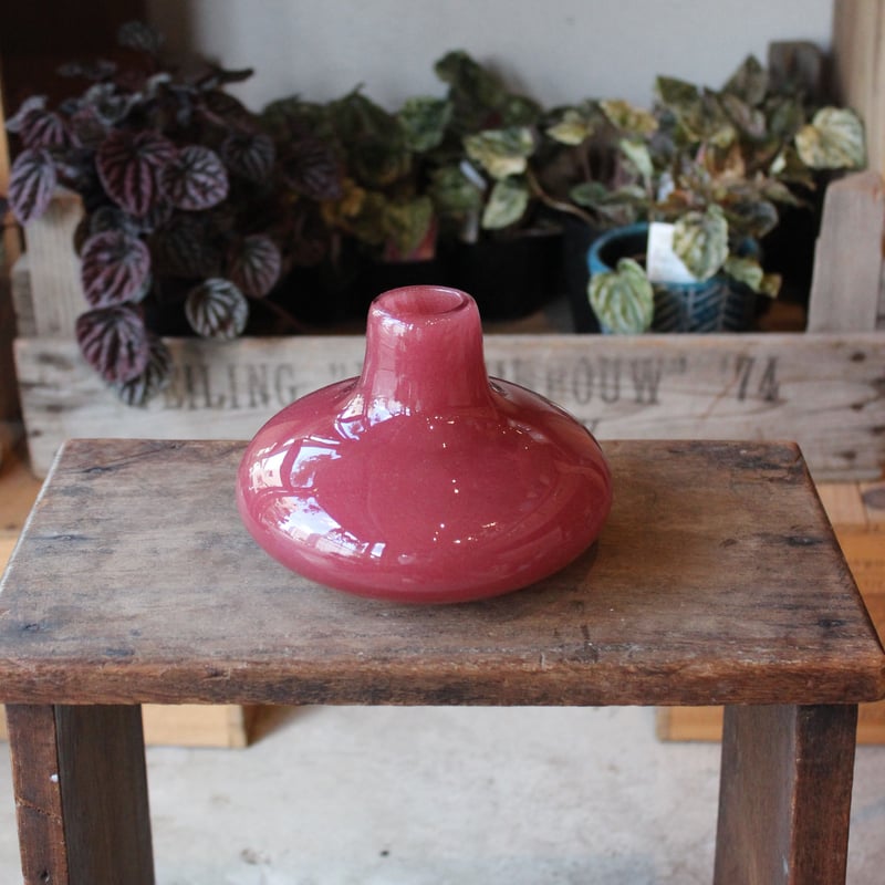 アリュバロス 10 クランベリー | FLOWER & PLANTS Nelke