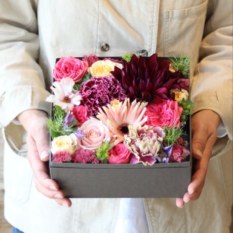 FLOWER & PLANTS Nelke