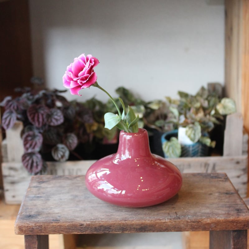 アリュバロス 10 クランベリー | FLOWER & PLANTS Nelke