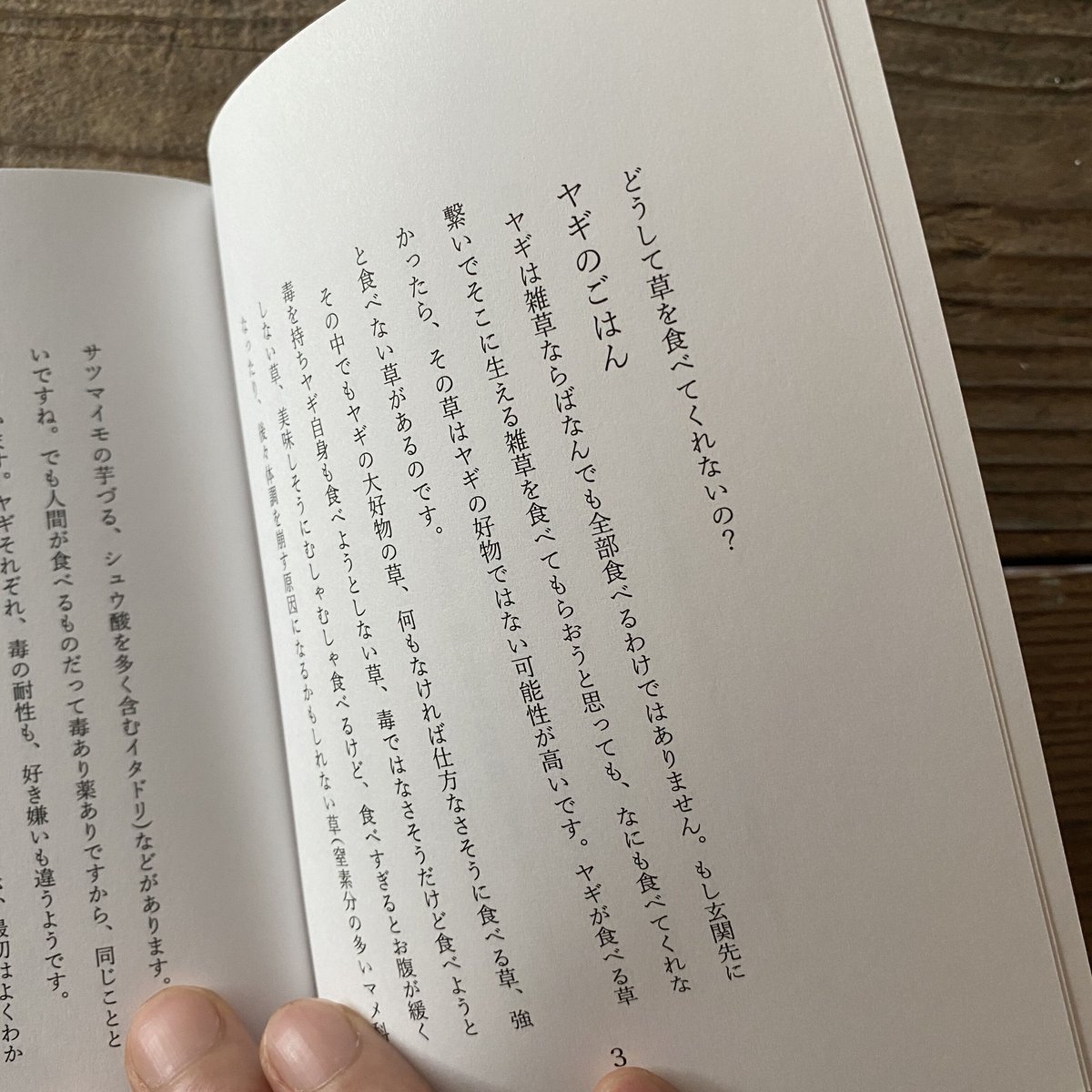 オリジナルZINE 『こんにちはヤギさん! ヤギが飼いたくなった オリジナルZINE 『こんにちはヤギさん! ヤギが飼いたくなった