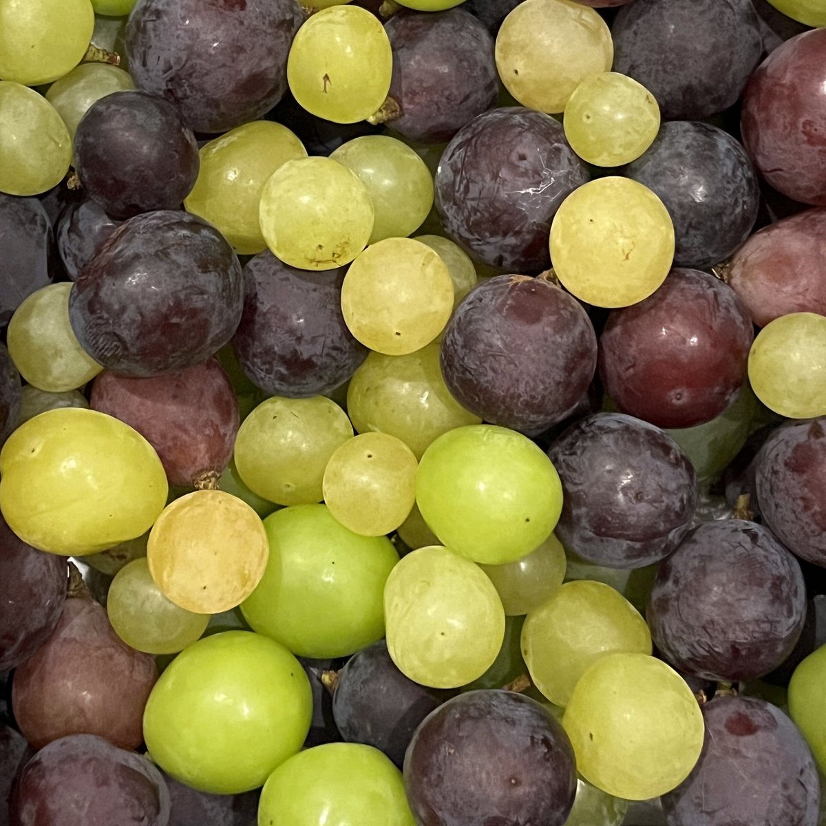 色とりどり葡萄つぶ 1キロ | 小豆島ももんじ組合/内澤旬子