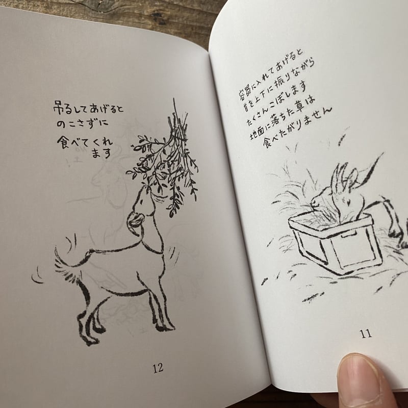 オリジナルZINE 『こんにちはヤギさん! ヤギが飼いたくなったなら