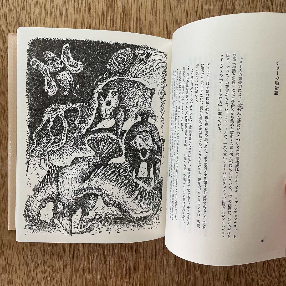 セット割引　ボルヘス　3冊　幻獣辞典　天国・地獄百科　エル・アレフ 幻獣辞典|ホルヘ・ルイス・ボルヘス | bullock books
